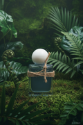 Skjol Blue Tansy Body Oil 30ml by Emerald Heritage in lush botanical setting